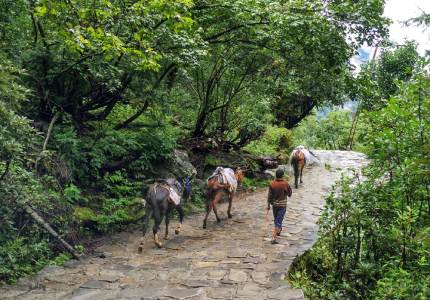 Chandigarh to Hemkunt Sahib Yatra