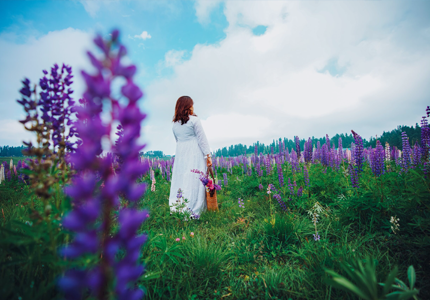 Kashmir Grand Tour: Jammu Srinagar Gulmarg Pahalgam