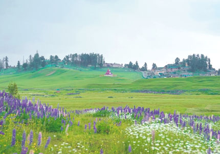 Kashmir Valley Discovery from Jammu – 7 Days