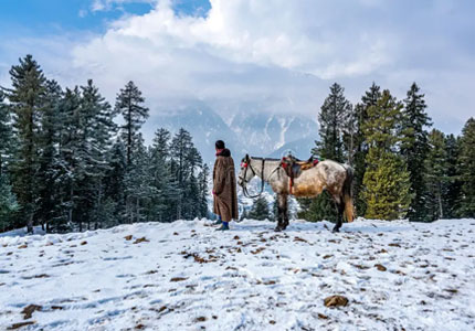 Chandigarh Amritsar Kashmir Delight Tour – 8 Days