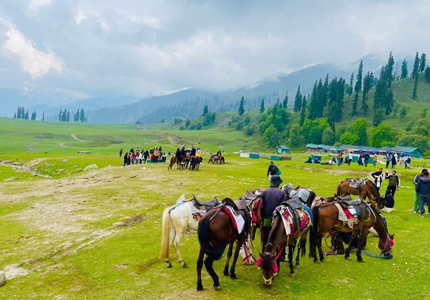 Kashmir Valley Discovery from Jammu – 7 Days