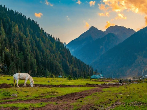 Kashmir Valley Discovery from Jammu – 7 Days