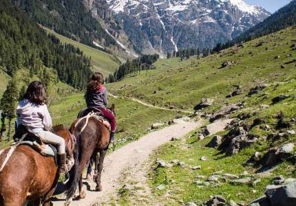 Kashmir Calling – 5-Day Srinagar Retreat from Chandigarh