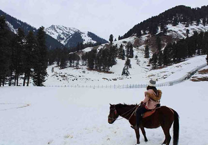 Kashmir Grand Tour: Jammu Srinagar Gulmarg Pahalgam