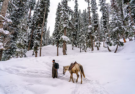 Kashmir Grand Tour: Jammu Srinagar Gulmarg Pahalgam