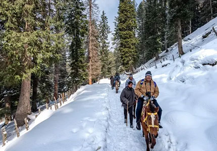 Mesmerizing Srinagar Holiday – 6 Days