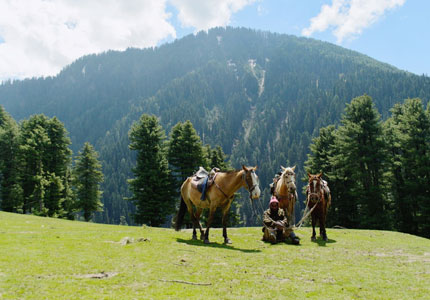 Mesmerizing Srinagar Holiday – 6 Days