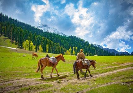 Amarnath Yatra Package